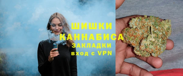 дживик Кинешма