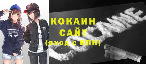 дживик Кинешма