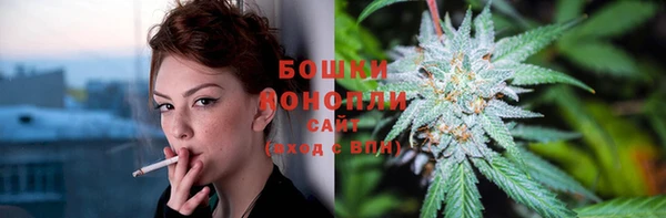МДМА Козельск