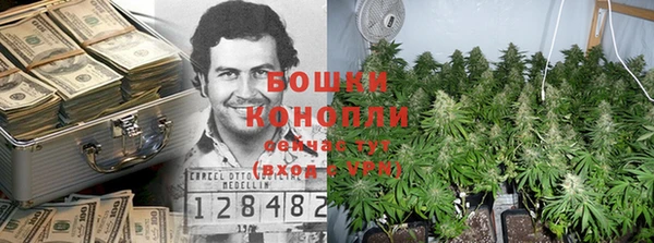прущий лед Козловка