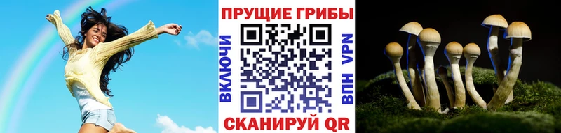 Галлюциногенные грибы Magic Shrooms Киржач