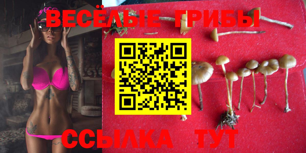 Псилоцибиновые грибы ЛСД Киржач