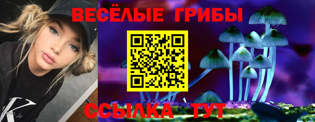 Киржач  Галлюциногенные грибы GOLDEN TEACHER  Галлюциногенные грибы мухоморы  Вход с VPN 